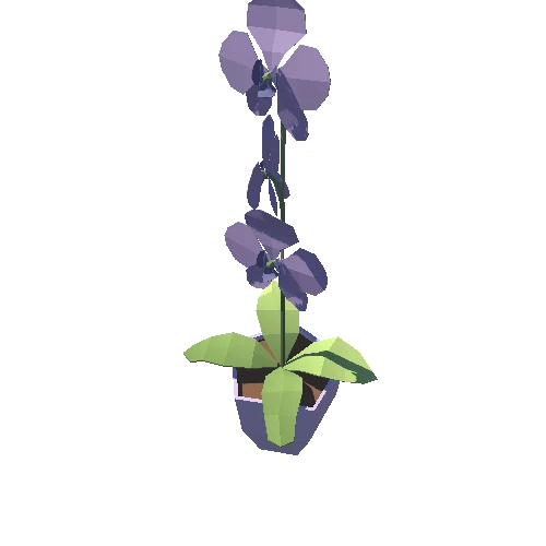 Plant_09