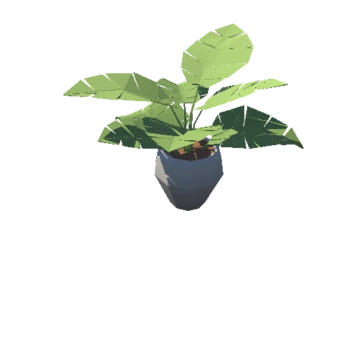 Plant_14