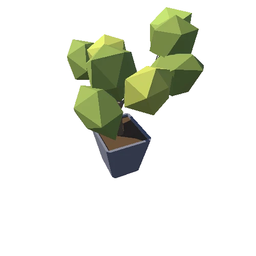 Plant_15