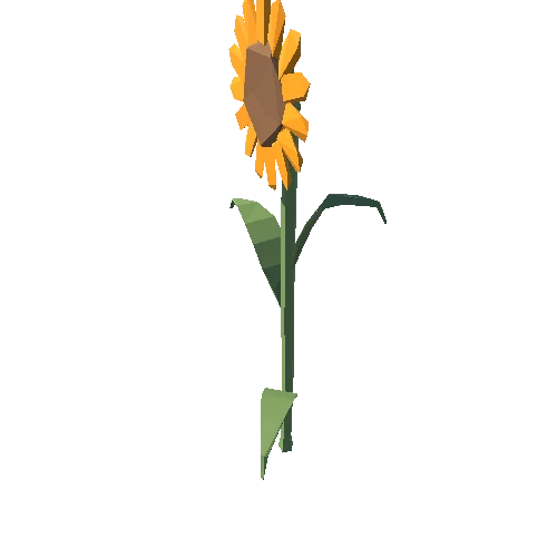 Sunflower_02_1