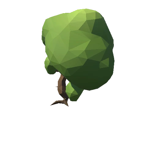 Tree_024