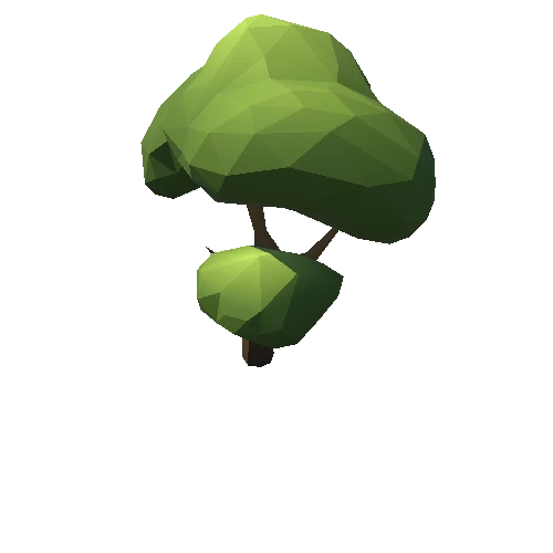 Tree_054