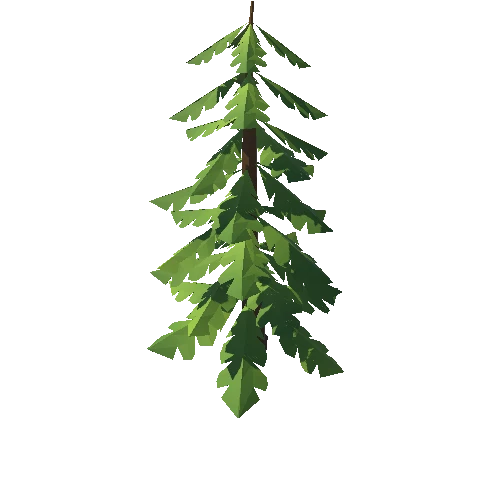 Tree_10