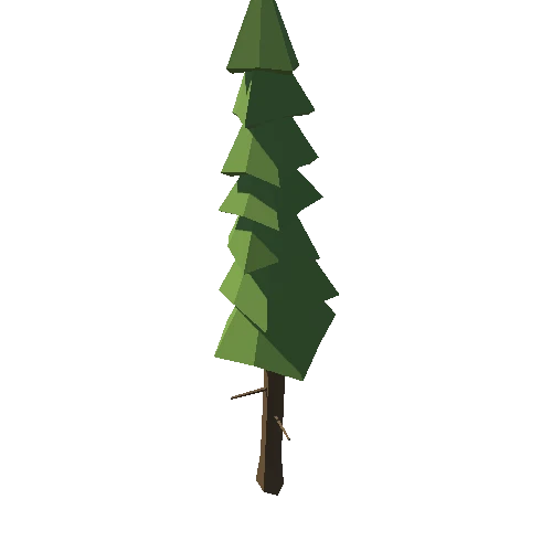 Tree_27