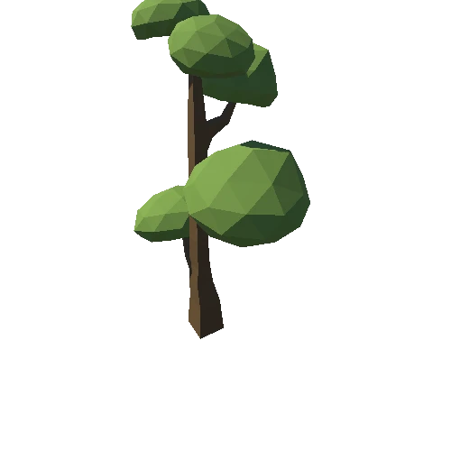 Tree_31