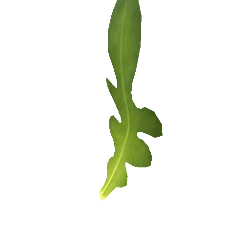 Arugula_1