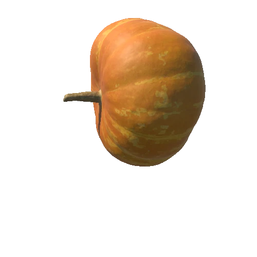 3333996+pumpkin01_corona_FBX_2011