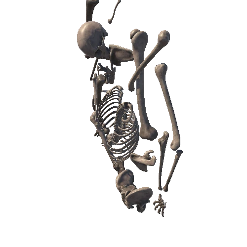 Skeleton_Body_Pose_09
