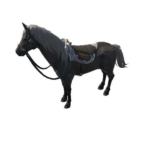 Horse1_2