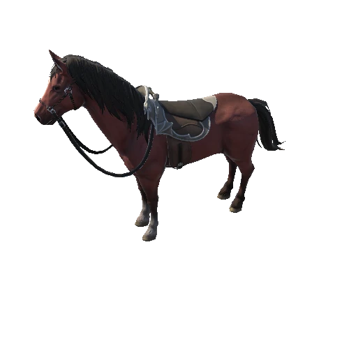 Horse1_3