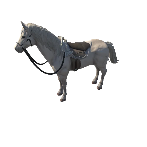 Horse1_4