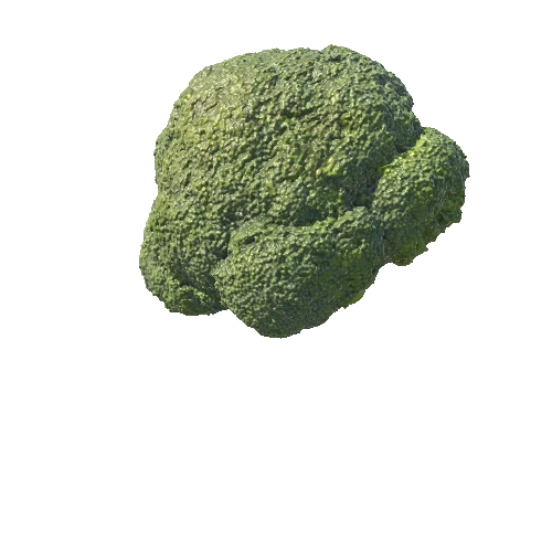 3547905+broccoli_corona_FBX_2011