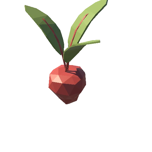 Beet_01