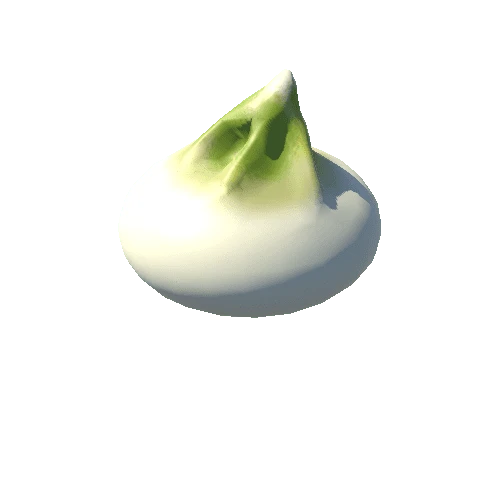 Wagashi_e_1