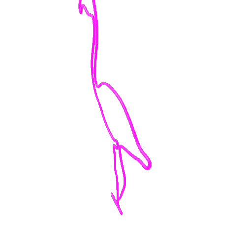 neon_flamingo