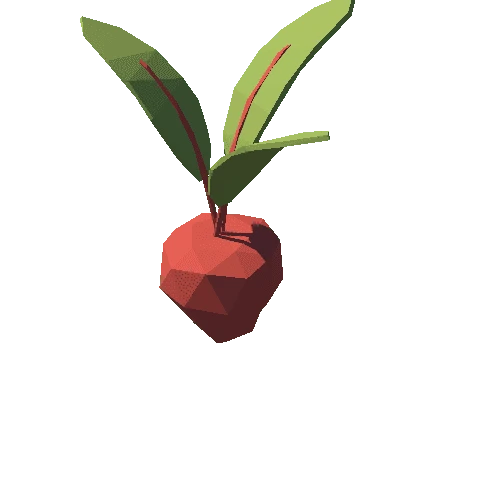 Beet_01