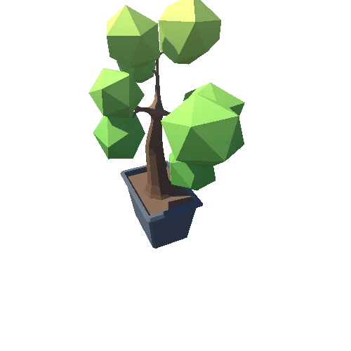 Plant_03