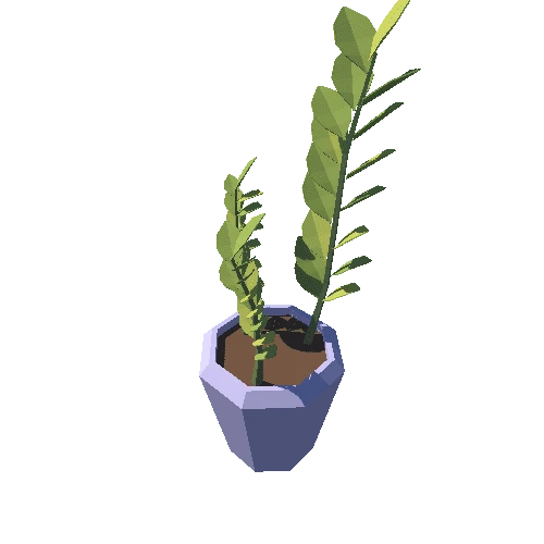 Plant_05