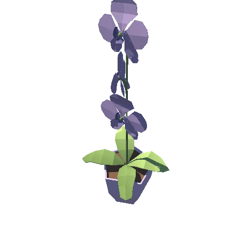 Plant_09