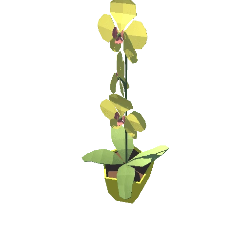 Plant_10