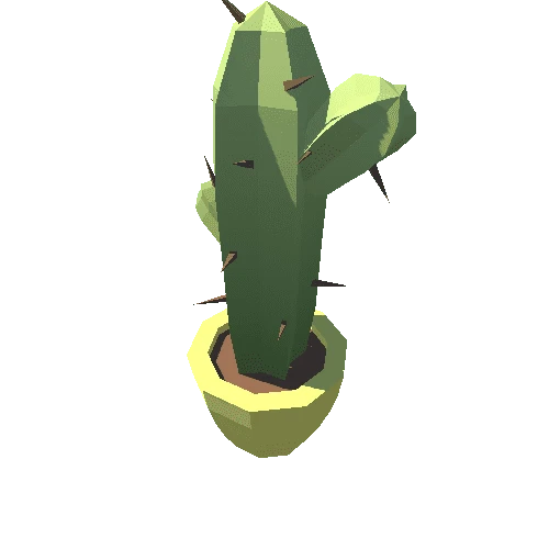 Plant_13