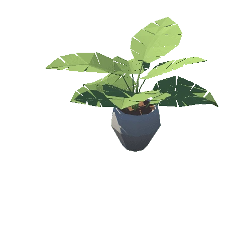 Plant_14