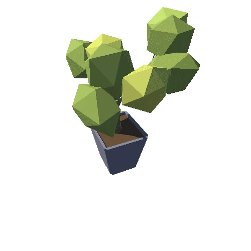 Plant_15