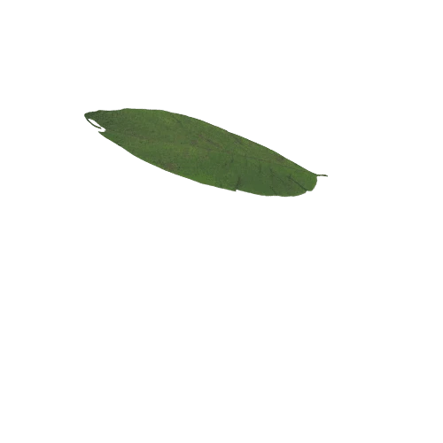 Leaf2_1