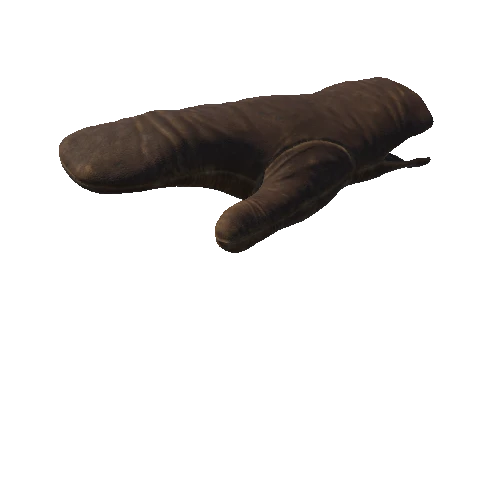 3856420+Old_Worn_Leather_Mitten_FBX