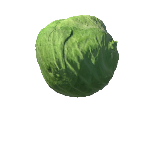 SM_Cabbage