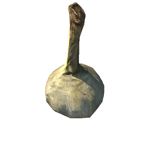 Garlic1