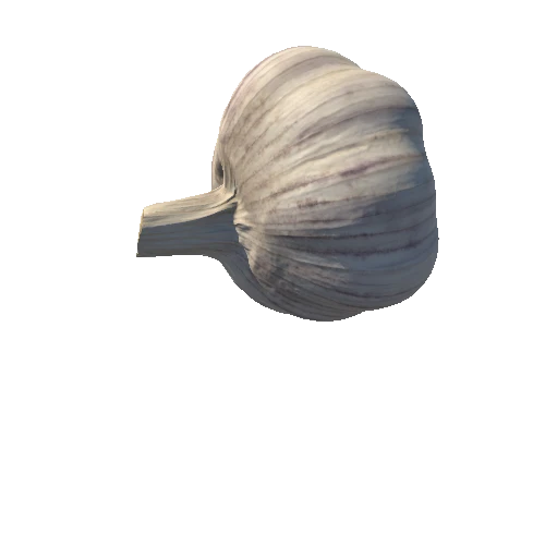 3953010+garlic2_FBX_blen