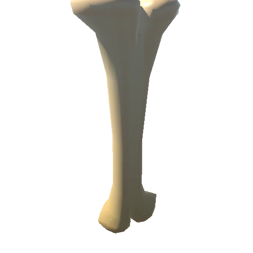 Bone