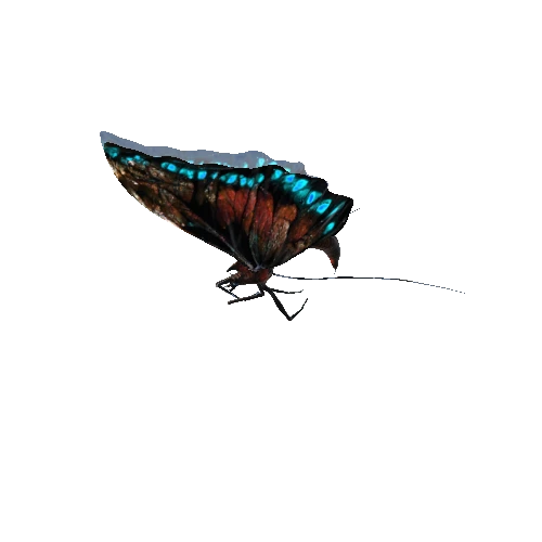 alien_butterfly_flying