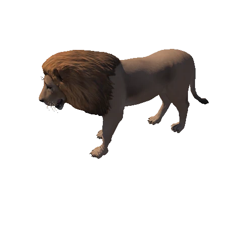 Lion_Animation