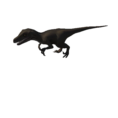 Velociraptor_Animation
