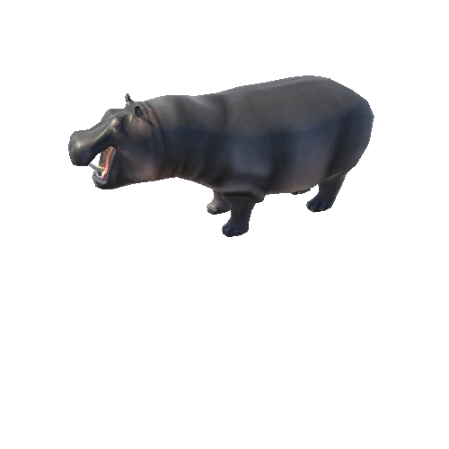 HIPPOPOTAMUS