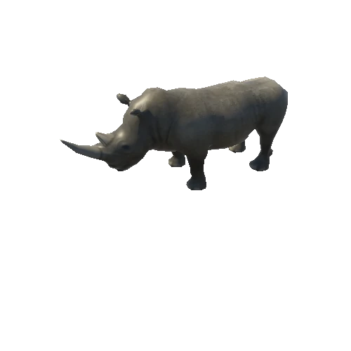 RHINOCEROS