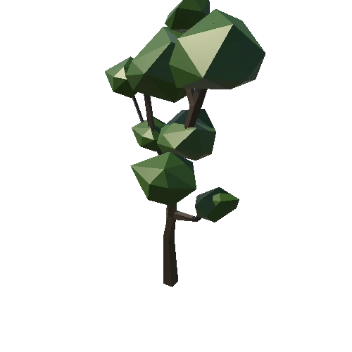 Forest_C_Tree_11_1