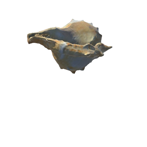 Seashell02_LOD0
