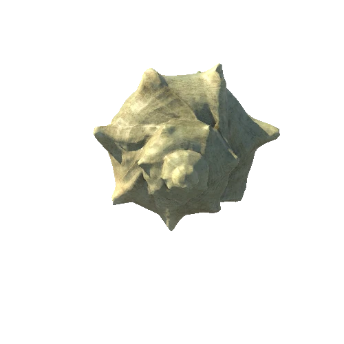 Seashell05_LOD1