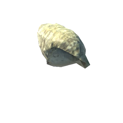 Seashell07_LOD3