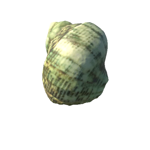 Seashell08_LOD0