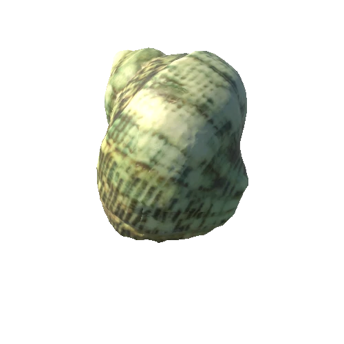 Seashell08_LOD1