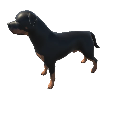 Rottweiler_longTail