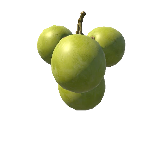 GrapeElement_03_Grp_001