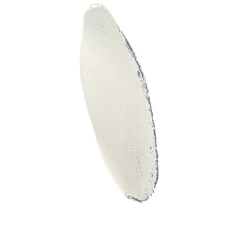 Swab_Pad_Round