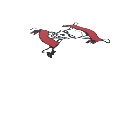 PirateDecal3_1