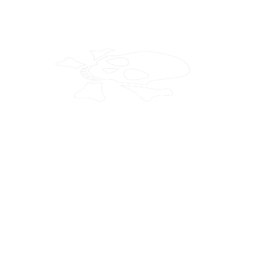 PirateDecal2_1