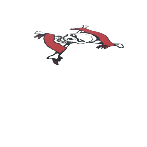 PirateDecal3_1